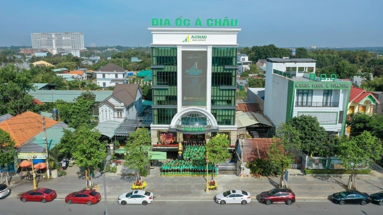 lĩnh vực hoạt động
